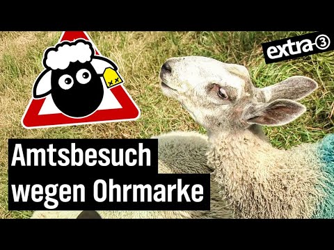 Realer Irrsinn: Schafsanmeldung in Sachsen | extra 3 | NDR