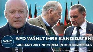 SACHSEN: AfD wählt Liste für Bundestagswahl! Alexander Gauland will's noch einmal wissen!