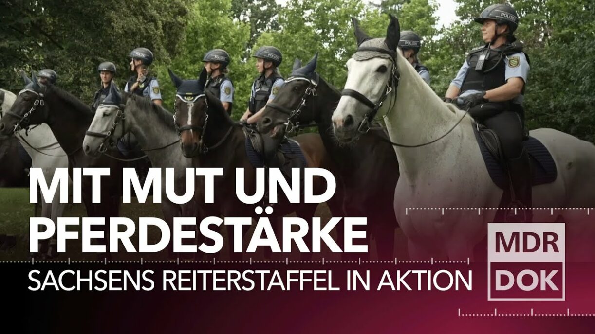 Sattelfest - die Reiterstaffel der Polizei Sachsen im Einsatz | Entdecke den Osten | MDR DOK