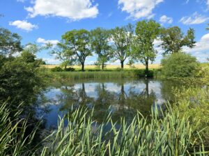 Am kleinen Teich bei Fraureuth ,Nähe Werdau.