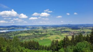 Blick vom Buchenberg