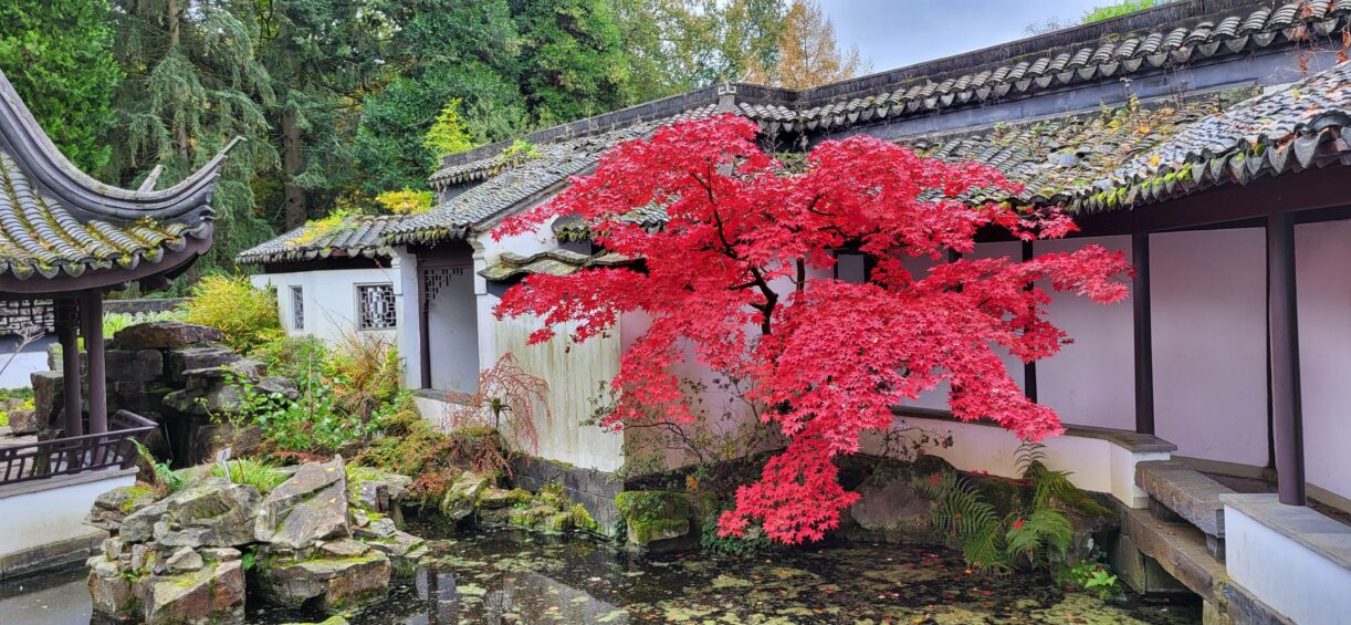 Chinesischer Garten im botanischen Garten Bochum