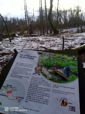 Eifel Geschichtsweg - Station 4: Grüner Weiher & Kamillen Traud. - Leider sieht es nicht mehr so schön aus, wie vor ein paar Jahren.