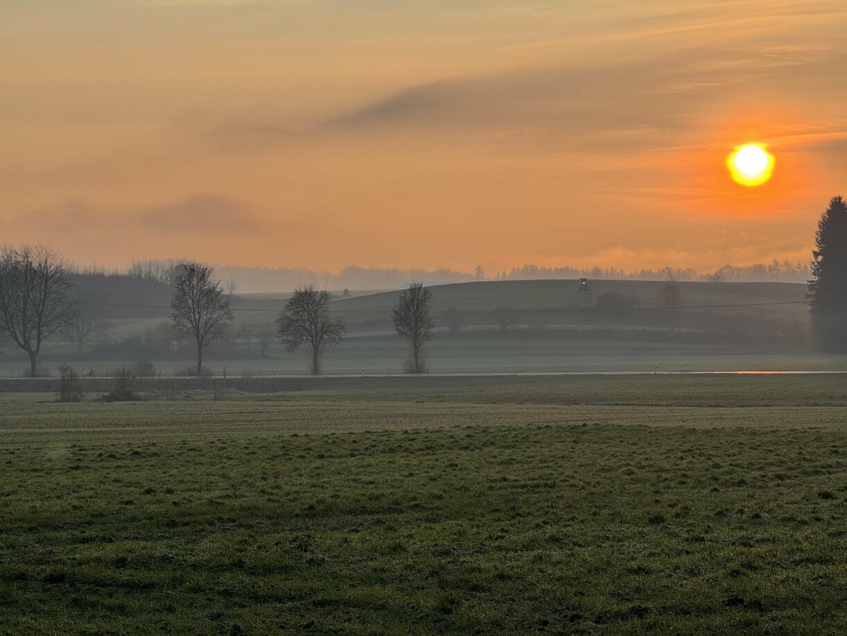 Herbst bedeutet Nebel