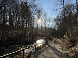 Kalkterrassen Weißenohe