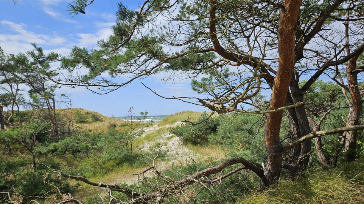 Ostsee - Weststrand Fischland Darß/Zingst