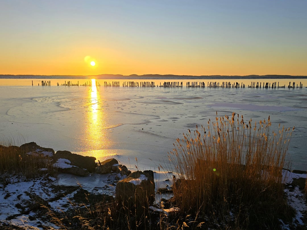 Tiefe Sonne am Großen Jasmunder Bodden in Polchow