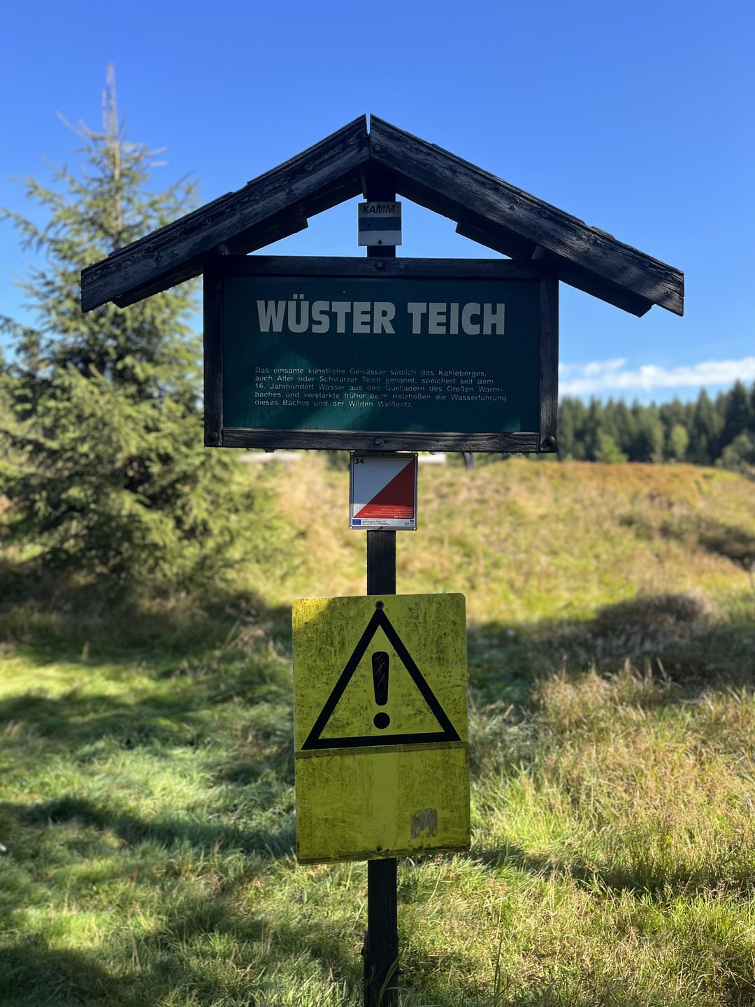 Wüster Teich