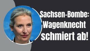 Umfrage-Schock: Wagenknecht verliert deutlich in Sachsen – AfD legt rasant zu!