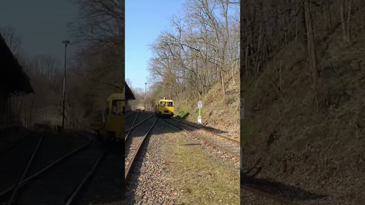 SKL 25 Hält kurz Hinter km 20 auf der Muldentalbahn #dr #history #train #sachsen #trainspotting