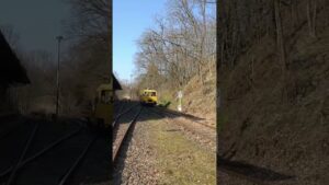 SKL 25 Hält kurz Hinter km 20 auf der Muldentalbahn #dr #history #train #sachsen #trainspotting