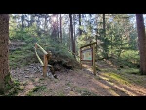 #349 Bodenlehrpfad im Stadtwald Ehrenfriedersdorf bei Geyer, Sachsen