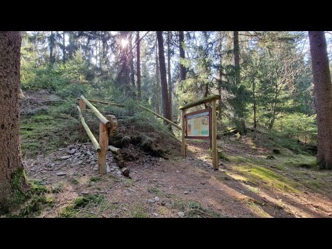 #349 Bodenlehrpfad im Stadtwald Ehrenfriedersdorf bei Geyer, Sachsen