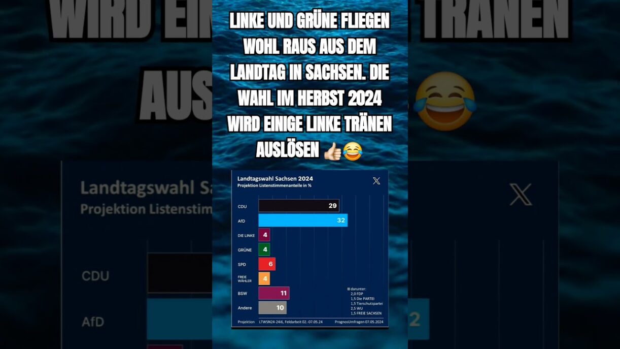 LINKE gehen in Sachsen unter #shorts #shortsfeed #afd #links #grüne #politik #sachsen #wahl #fyp