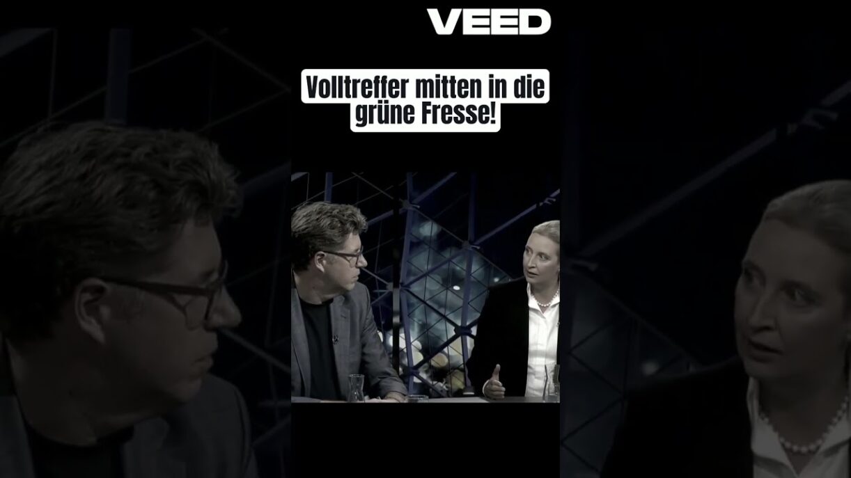 Grüner Hampelmann wird von Alice Weidel komplett zerstört #thüringen #landtagswahl #sachsen