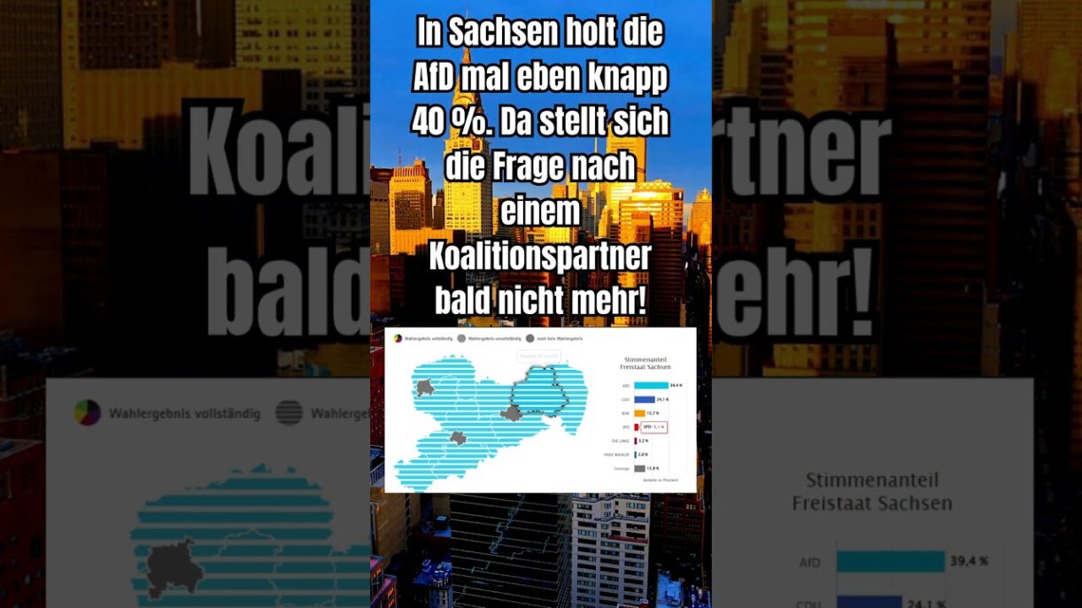 AfD holt in Sachsen 40% #shorts #shortsfeed #afd #politik #deutsch #foryou #sachsen #europawahl