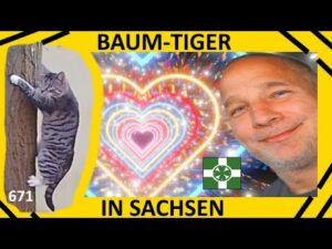 Baum - Tiger in Sachsen !