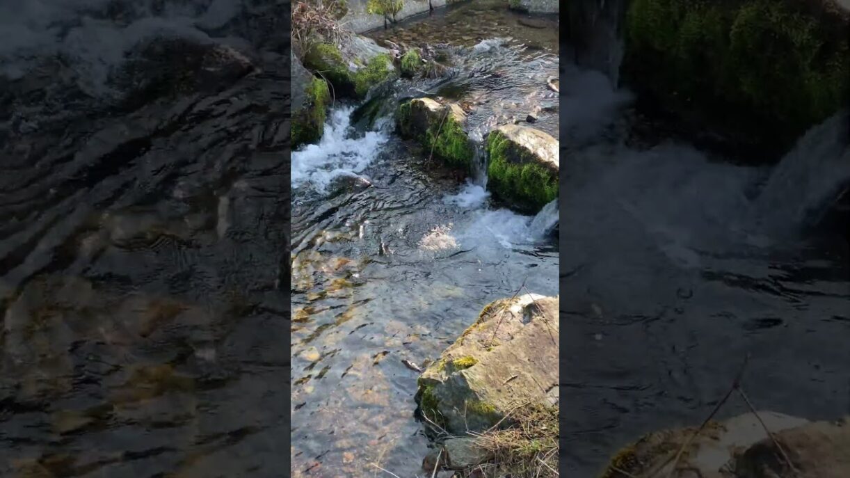 Angenehm rauschende Trebnitz Sachsen - Calming rushing Water Saxony