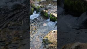 Angenehm rauschende Trebnitz Sachsen - Calming rushing Water Saxony