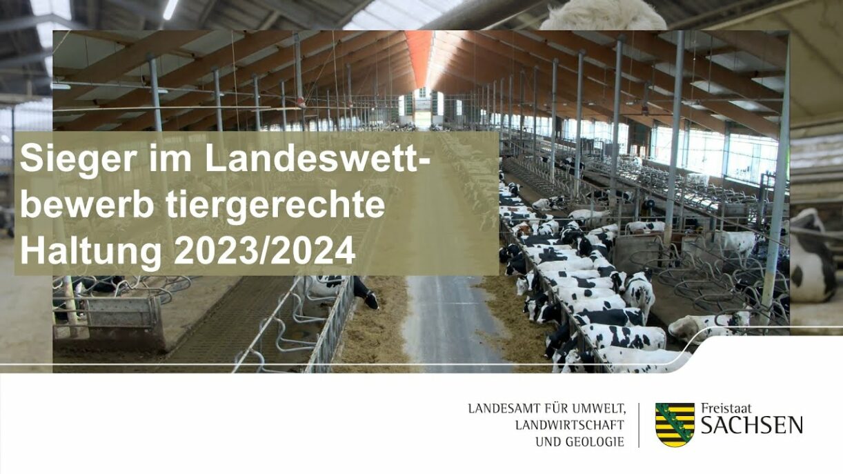 Wettbewerb Tiergerechte Haltung 2023/2024 in Sachsen – Sieger in der Kategorie Milchrinder