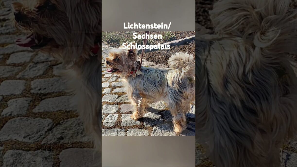 #germanytravel #sachsen #lichtenstein #lichtensteininsachsen