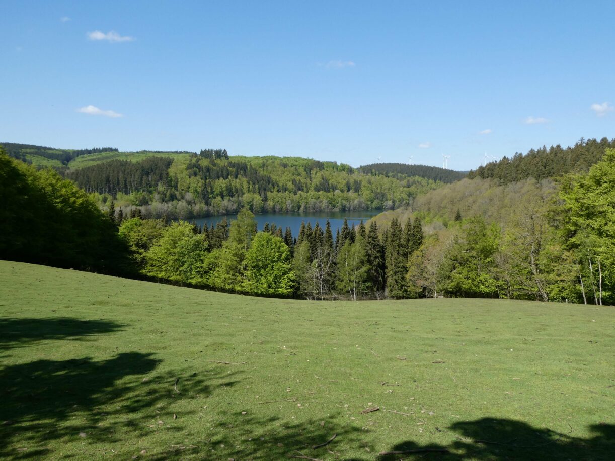 Aussicht aus der Greifvogelstation Hellenthal in der Eifel