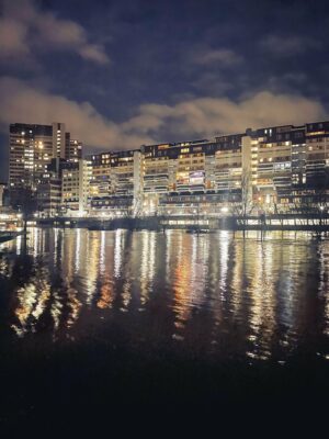 Brutalismus und Hochwasser bei Nacht | Foto von @niklasbogon