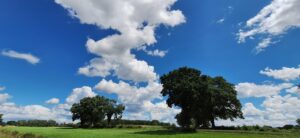 Der Himmel über Kiel