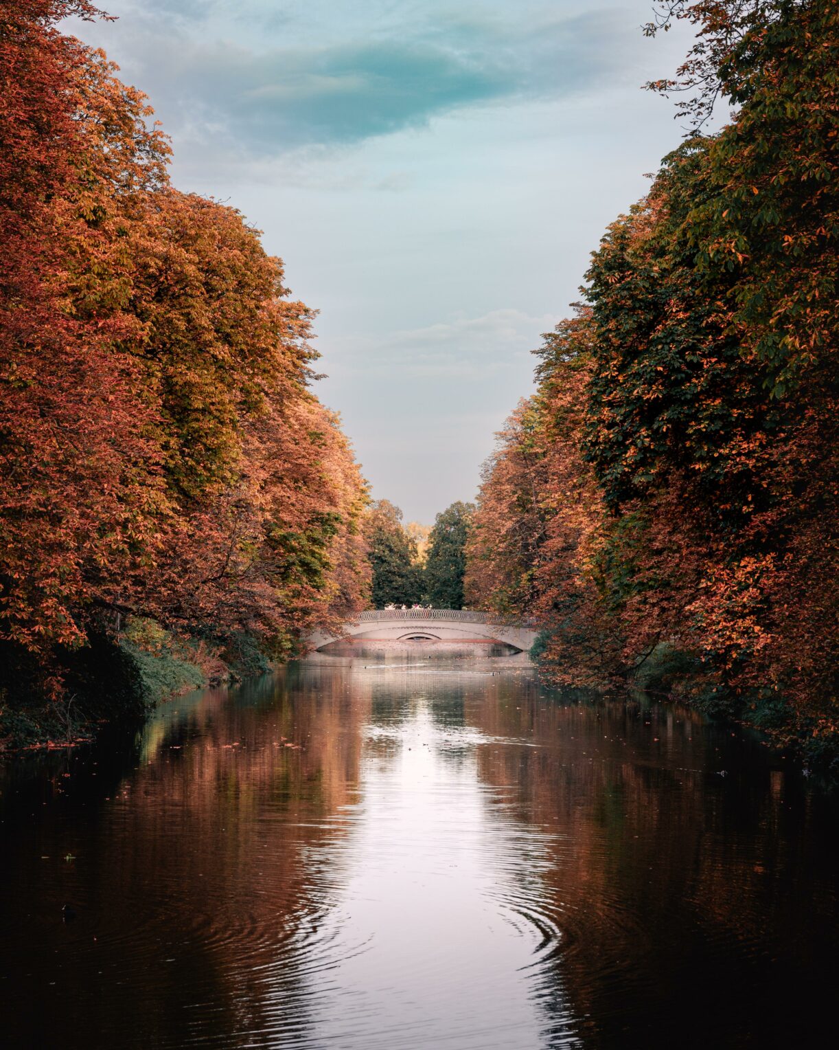 Der Kölner Clarenbachkanal im Herbst