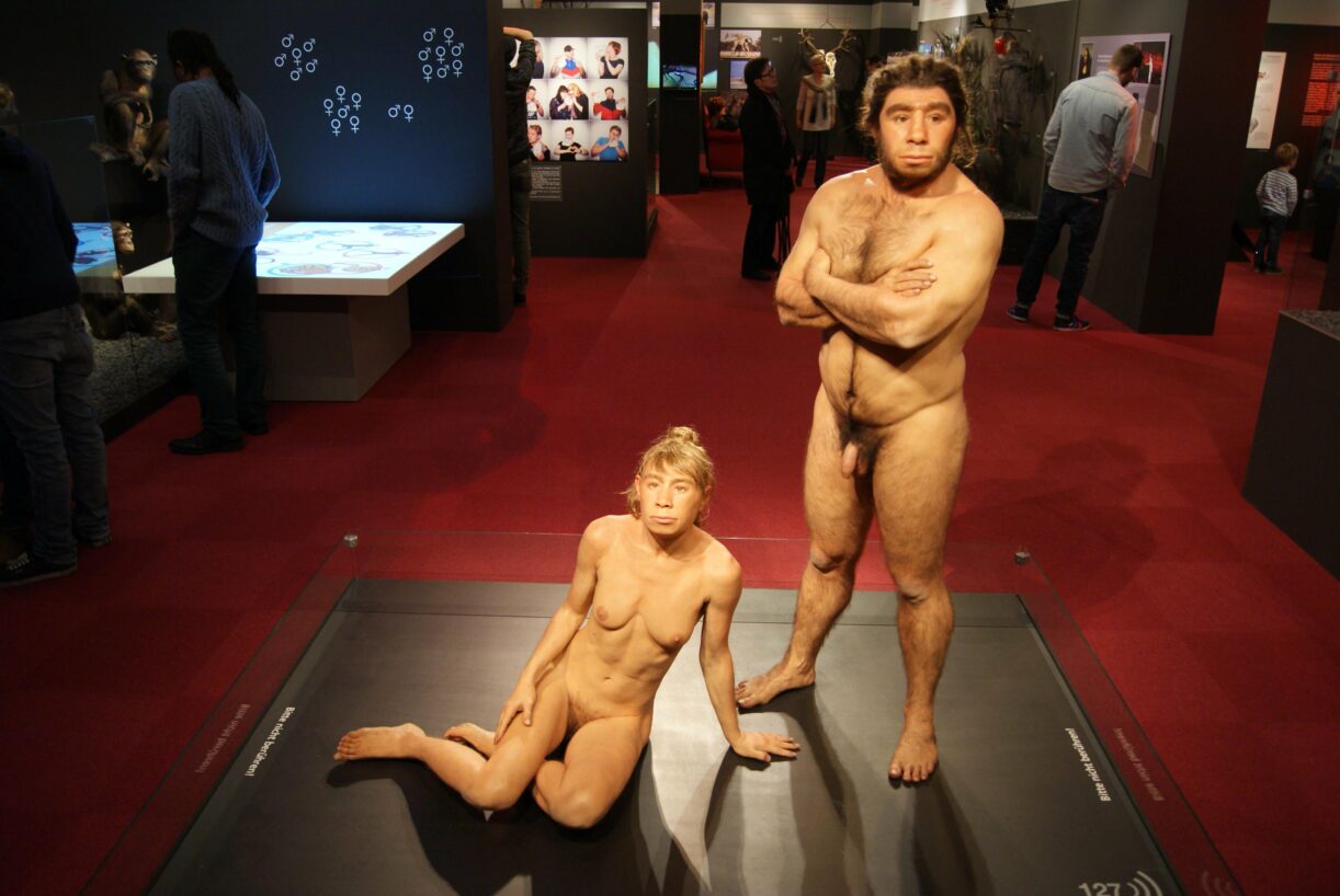 Erika und Max Mustermann als Homo neanderthalensis, LWL-Museum für Naturkunde