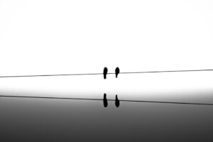 Leitung Digitale Transformation / CDO (m/w/d)