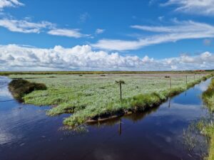 Nach dem Regen | Spiekeroog