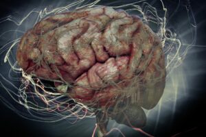 Oberarzt Neurologie - östliches Sachsen (m/w/d) - SHC