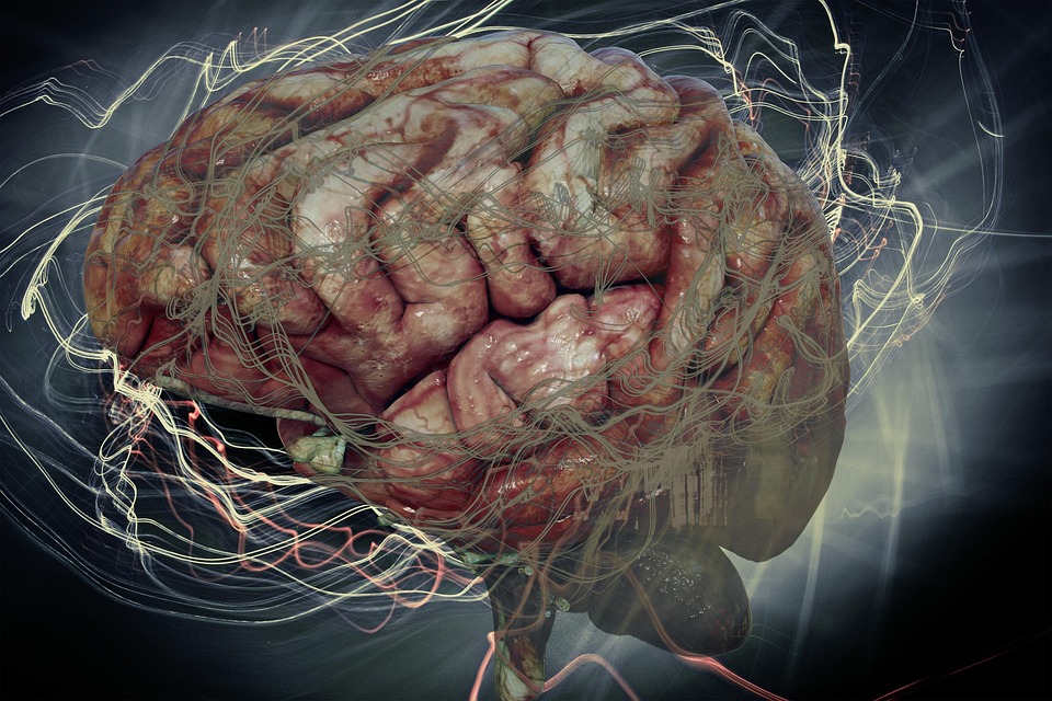 Oberarzt Neurologie - östliches Sachsen (m/w/d) - SHC