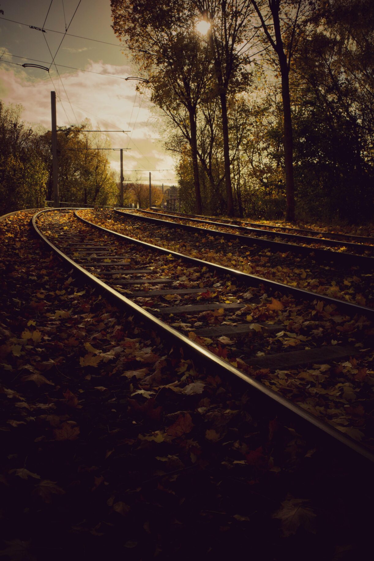 Railroads and autumn