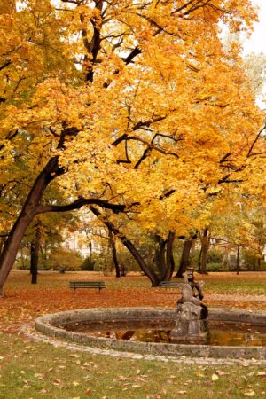 Schlossgarten Erlangen