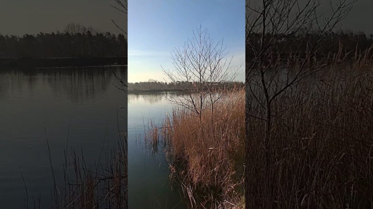 Sollnitz Sachsen-Anhalt, genieße die Stille, enjoy the silence,  Sonne & Frühling