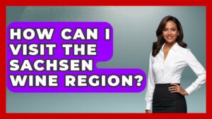How Can I Visit The Sachsen Wine Region? - Germany Made Simple