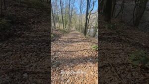 Kriebstein#burg #sachsen #germany #castle  #wanderlust#weg zur burg #spring #fyp