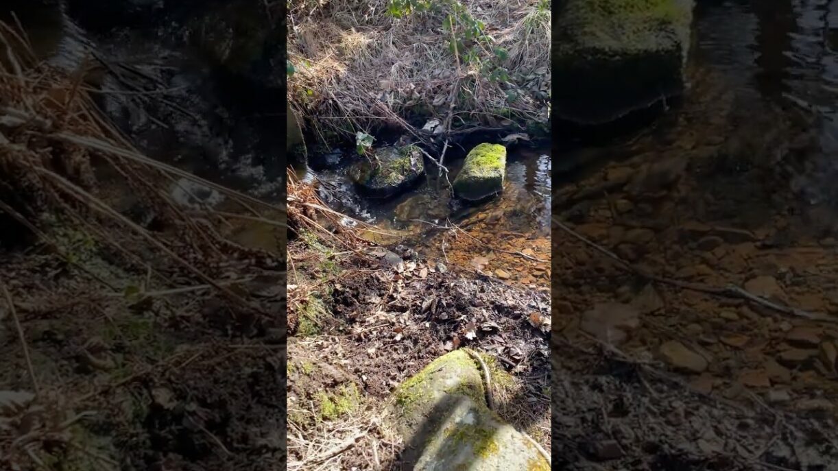 Innehalten und dem Plätschern lauschen Dippoldiswalder Heide Sachsen - Calming Watersplash Saxony