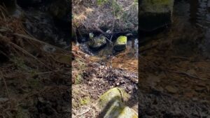 Innehalten und dem Plätschern lauschen Dippoldiswalder Heide Sachsen - Calming Watersplash Saxony