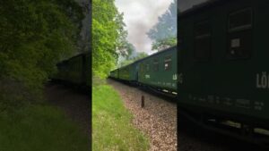 Trains - Lok 99 713 -  Sachsen - Germany