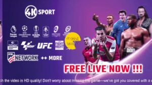 Buxtehuder SV vs BSV Sachsen Zwickau LIVE STREAM Handball 2025 🔴 HBF