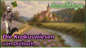 MILLIONEN VON KROKUSSEN | ERZGEBIRGE | DREBACH | SACHSEN | S4 F10