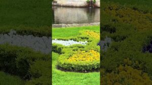 Schloss Albrechtsberg Dresden#travel #tourist #deutschland #music #sachsen #dresden #nature