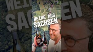 Kommen Weine aus Sachsen zu kurz? | #short#wein#sachsen#sommelier#podcast#podcastclips#wissen