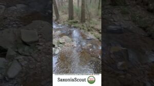 Verfolgt vom Lauterbach
