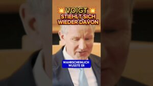 💥HÖCKE zerlegt VOIGT⚡#cdu #afd #merz #politik #aliceweidel #weidel #spd  #thüringen #sachsen