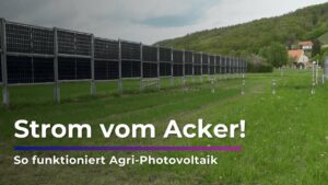 Pillnitz testet Agri-Photovoltaik I Sachsen Fernsehen