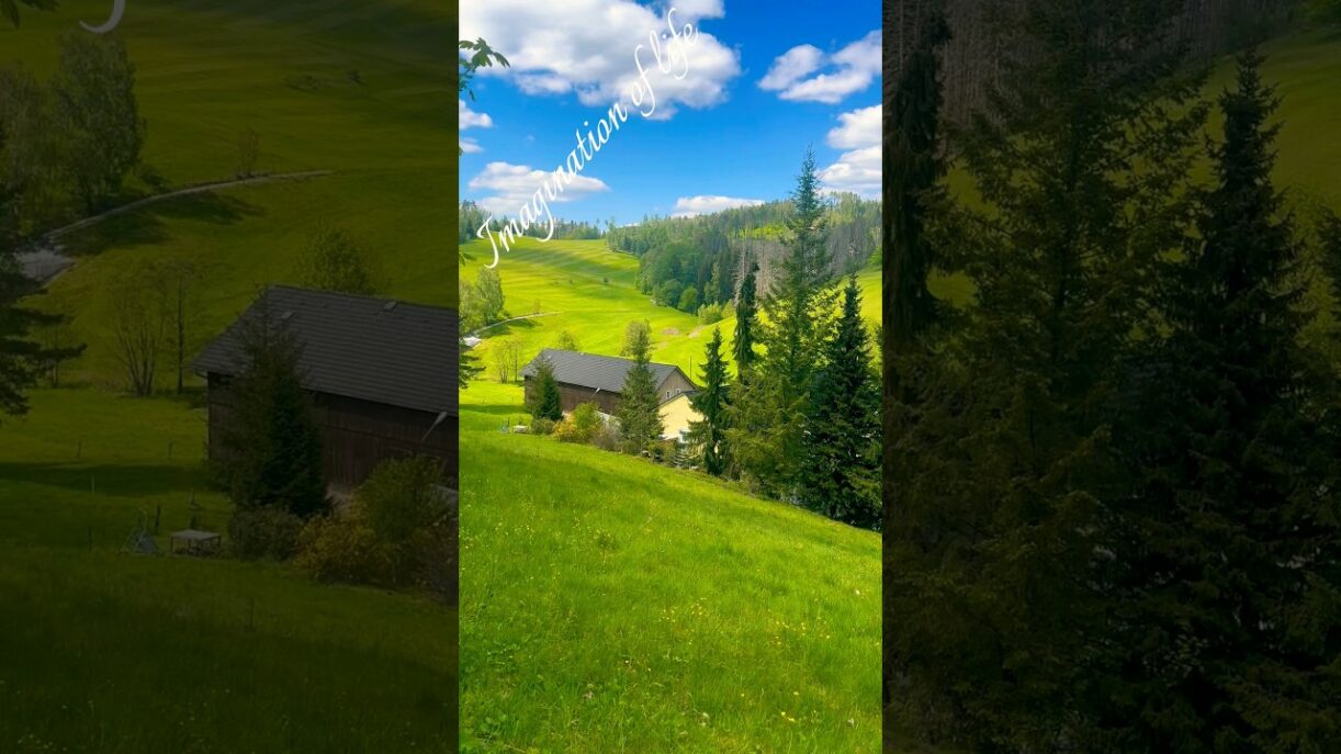 Germany 🇩🇪 saxony #germany #saxony #sachsen #badschandau #nature #viralvideo #viralshorts #shorts